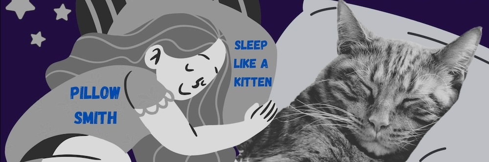 Pillowsmith banner with a purple background. In front of the background is an illustrated woman sleeping on a pillow and a real cat sleeping on a different people (all in black & white). The text reads 'Pillowsith: Sleep like a kitten'