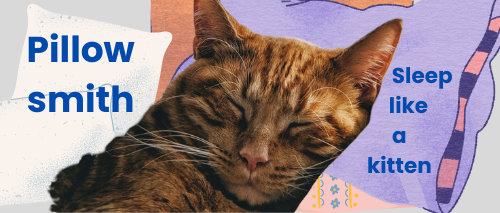 Pillowsmith banner with multiple illustrated pillows and a real orang cat on a purlpe pillow. The text reads 'Pillowsith: Sleep like a kitten'